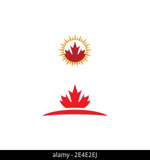 Maple leaf vector illustration design template Stock Vector