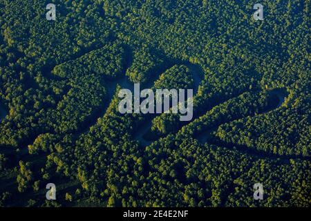 River in tropic Costa Rica, Corcovado NP. Lakes and rivers, view from airplane. Green grass in Central America. Trees with water in rainy season. Phot Stock Photo