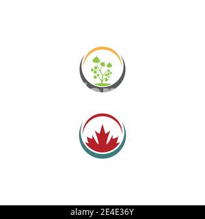 Maple leaf vector illustration design template Stock Vector