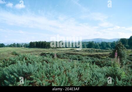 Remains of Ardoch Roman fort earthworks outside the village of Braco in Perthshire, Scotland, about 7 miles south of Crieff. Archival scan from a slide. September 1972. Stock Photo