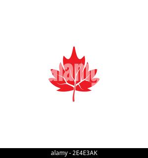 Maple leaf vector illustration design template Stock Vector