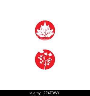 Maple leaf vector illustration design template Stock Vector