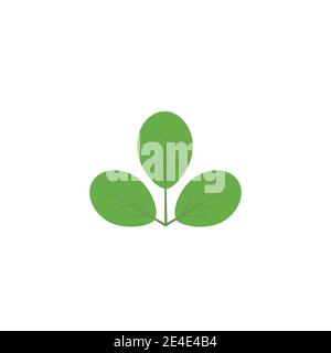 Moringa leaf Logo Template vector symbol nature Stock Vector