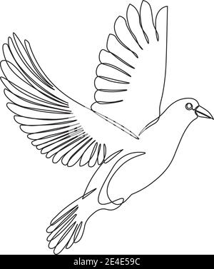dove drawn with a single line isolated on white Stock Vector