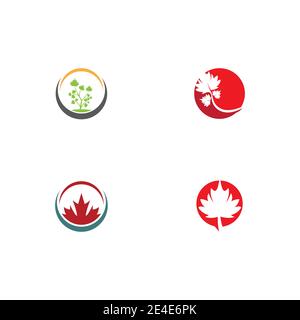 Set Maple leaf vector illustration design template Stock Vector