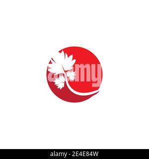 Maple leaf vector illustration design template Stock Vector