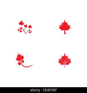 Set Maple leaf vector illustration design template Stock Vector