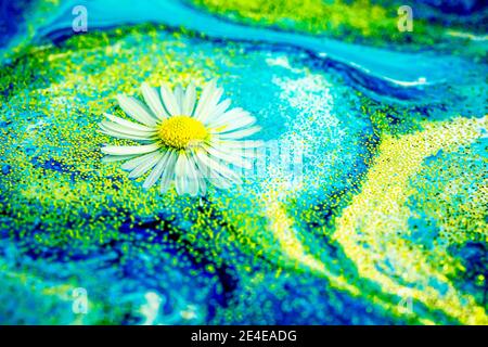 Selective focus. Close-up fragment of acrylic liquid painting with floating daisy. Modern art. Contemporary art. Natural luxury. Abstract art wallpaper. Trendy background.  Stock Photo