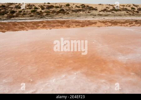Pink lake and sand dunes view from algae, salt, and minerals in Ras al Khaimah, United Arab Emirates.