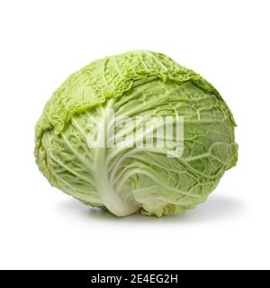 Single fresh raw whole Savoy cabbage isolated on white background Stock Photo