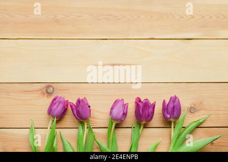 violet Spring Tulip Flowers. Blooming spring lavender-blue petals. Beautiful violet Tulips in spring. Tulip flower with green leafs on wooden Stock Photo