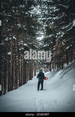 winter landscape forest backpack man / traveler in modern winter clothes in the forest, traveling in the mountains Stock Photo