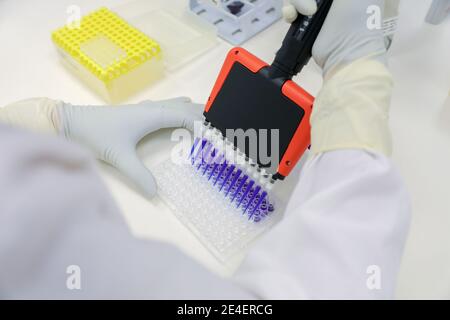 Hands of scientists working with multichannel pipette and multi-well plates. Lab testing. Stock Photo