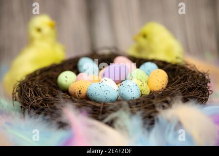 Easter eggs in a bird's nest pastel colores, Easter, spring, Nature concept background on the background yellow chicks Stock Photo