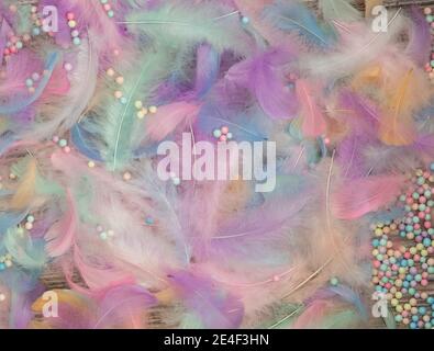Pastel colored Feathers top view background, bright colorful modern design bird and chicken feather texture for Greeting card or Background, abstract Stock Photo
