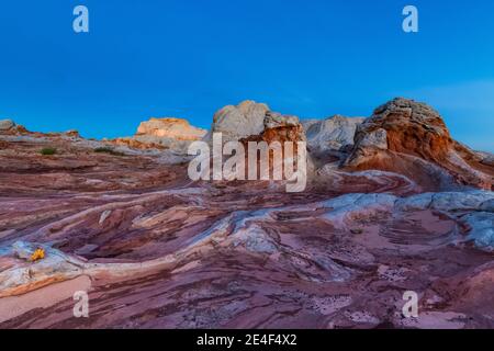 First light on the Navajo Sandstone formations of White Pocket, Vermilion Cliffs National Monument, Arizona, USA Stock Photo