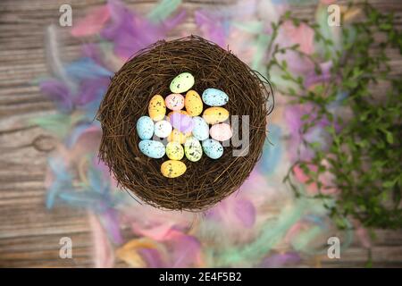 Colorful bright easter eggs in bird nest with Pastel colored feathers and wooden background texture top view, Copy Space, Spring, Easter Holliday Stock Photo