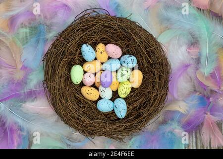 Colorful Easter eggs in bird nest surrounded with pastel colored feathers and wooden cubes with the text Happy Easter top view, modern background Stock Photo
