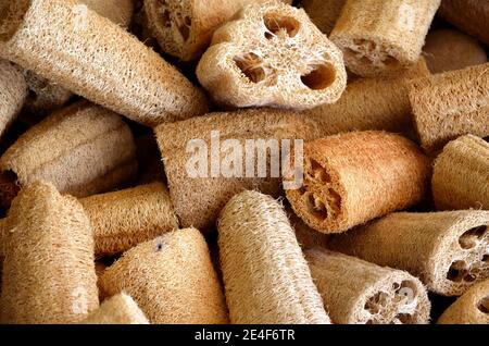 Natural small pieces of Loofah textured Background Stock Photo