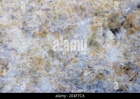 Polished marble tile example Stock Photo