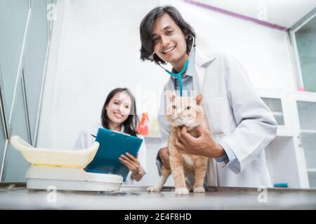 cat sitting on the table is held by the male doctor and the female doctor taking notes at the vet clinic Stock Photo