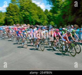 The main peleton of  the Tour de France,  racing through French countryside in Provence. Stock Photo