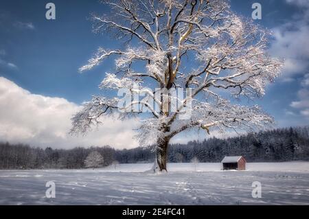 PHOTOGRAPHIC ART: Winter scene near Bad Toelz, Bavaria, Germany Stock Photo