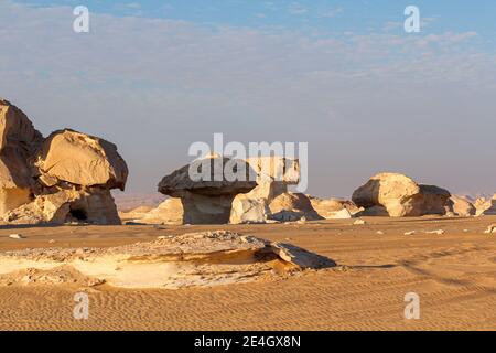 Bizarre sandstone formations in the white desert, early morning, Farafra, Egypt Stock Photo