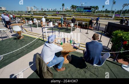 Hallandale Beach, FL, USA. 12th May, 2019. January 23, 2021: Scenes from during Pegasus World Cup Invitational Day at Gulfstream Park in Hallandale Beach, Florida. Scott Serio/Eclipse Sportswire/CSM/Alamy Live News Stock Photo