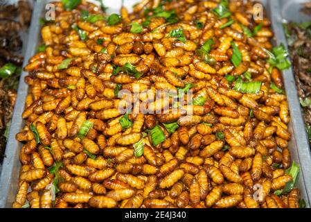 Insect worm, chrysalis, fried chrysalis, fried salt , silkworm, bamboo insect supplement. Stock Photo