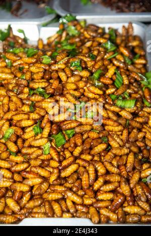 Insect worm, chrysalis, fried chrysalis, fried salt , silkworm, bamboo insect supplement. Stock Photo