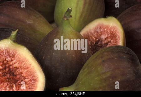STUDIO IMAGE OF HARVESTED FRESH FIGS (FICUS CARICA) Stock Photo
