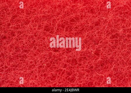 Sponge detail texture, sponge texture background. Closeup, macro Stock Photo