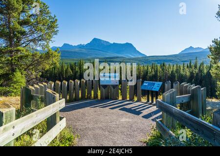 Storm Mountain Viewpoint, Bow Valley Parkway, Banff National Park, Canadian Rockies. Stock Photo