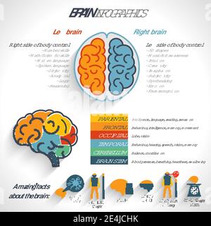 Brain structure left analytical and right creative hemispheres infographics set vector illustration Stock Vector