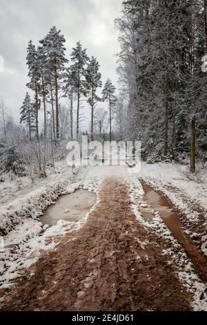 Snowy and muddy trail to the forest Stock Photo