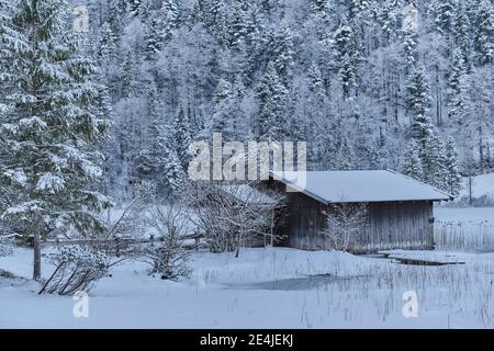 Log cabin on snow covered land surrounded by trees Stock Photo