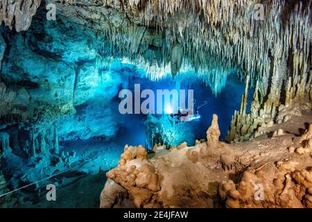 Male diver swimming in underwater, Cenote Uku Cusam, Quintana Roo, Mexico Stock Photo