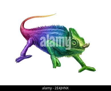 a detailed illustration of a chameleon Stock Photo
