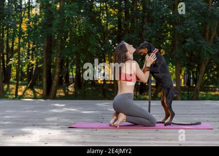 morning exercises with your pet. young slender woman practices yoga and pilates in a summer park. beautiful doberman puppy is happy and licks its owne Stock Photo