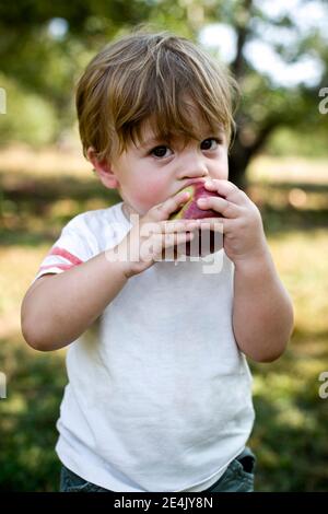 Baby boy eating apple in park Stock Photo