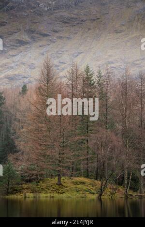 Beautiful landscape image of Torren Lochan in Glencoe in Scottish Highlands on a Winter day Stock Photo