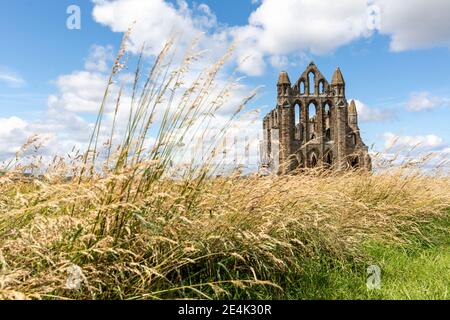 Whitby abbey on grassy land against cloudy sky during sunny day, Yorkshire, UK Stock Photo