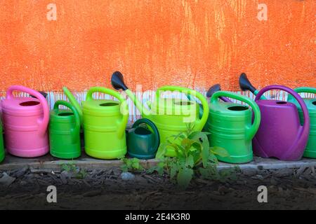 Watering cans standing in row along orange wall Stock Photo