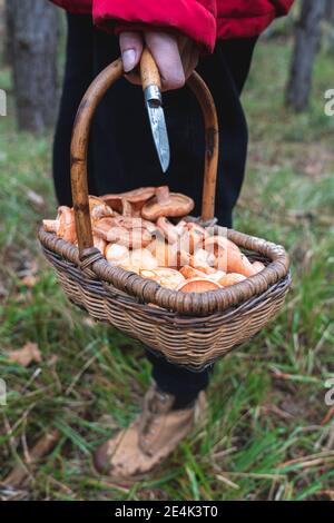 Young woman with basket of mushrooms and knife in forest in autumn Stock Photo