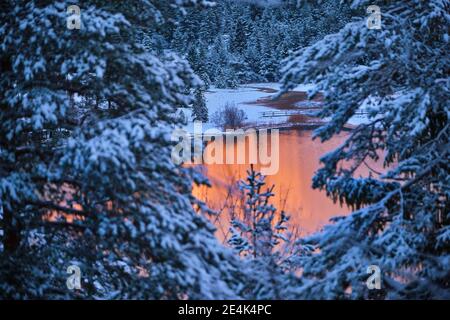 Lautersee river seen through snow covered trees in forest during sunset Stock Photo