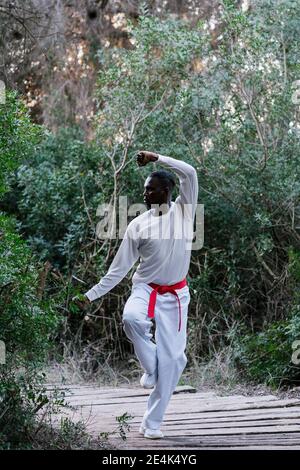 Adult man practicing martial arts in forest Stock Photo