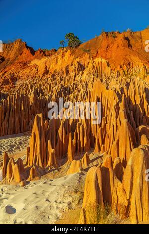 The Tsingy Rouge (Red Tsingy) in Madagascar Stock Photo