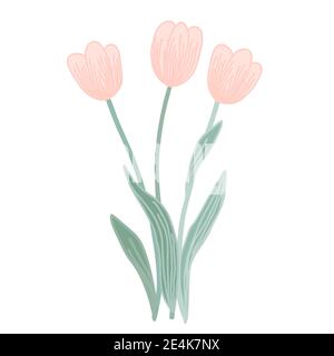 Doodle vector pink tulip flowers isolated on a white background. Creative illustration for your design Stock Vector