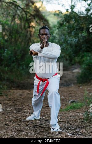 Adult man practicing martial arts in forest Stock Photo
